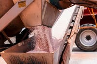 urea treated with micronutrients being loaded